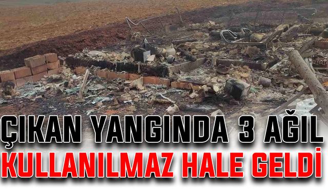 Çıkan yangında 3 ağıl kullanılmaz hale geldi