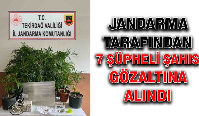 Jandarma tarafından 7 şüpheli şahıs gözaltına alındı