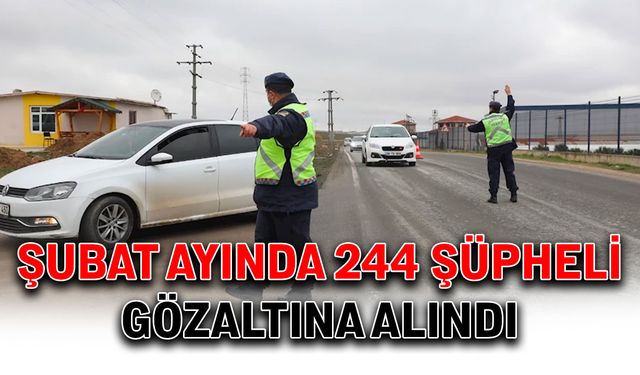 Şubat ayında 244 şüpheli gözaltına alındı