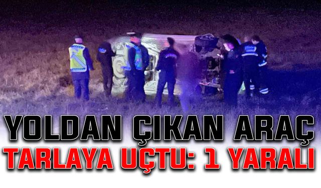 Yoldan çıkan araç tarlaya uçtu: 1 yaralı