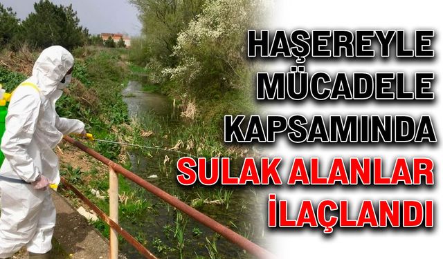 Haşereyle mücadele kapsamında sulak alanlar ilaçlandı