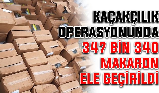 Kaçakçılık operasyonunda 347 bin 340 makaron ele geçirildi