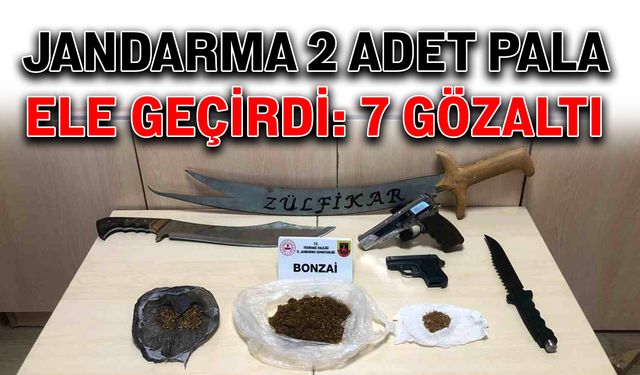 Jandarma 2 adet pala ele geçirdi: 7 gözaltı