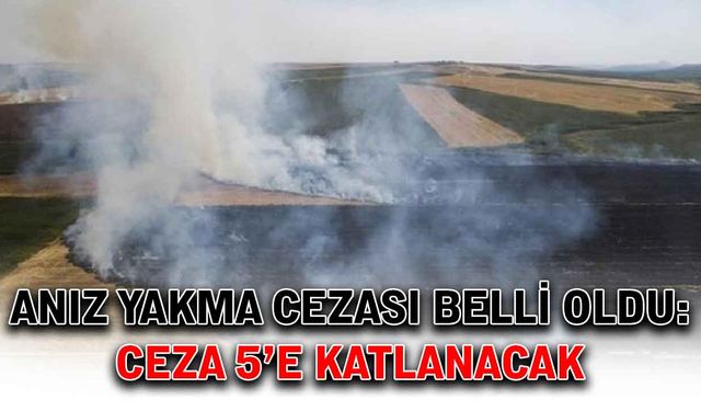 Anız yakma cezası belli oldu: Ceza 5’e katlanacak