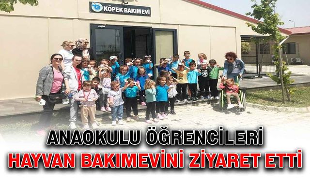 Anaokulu öğrencileri hayvan bakımevini ziyaret etti