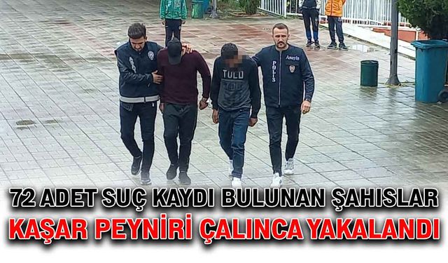 72 adet suç kaydı bulunan şahıslar kaşar peyniri çalınca yakalandı