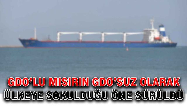 GDO’lu mısırın GDO’suz olarak ülkeye sokulduğu öne sürüldü