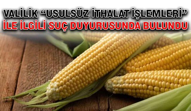 Valilik “usulsüz ithalat işlemleri” ile ilgili suç duyurusunda bulundu