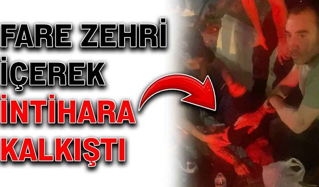 Fare zehri içerek intihara kalkıştı