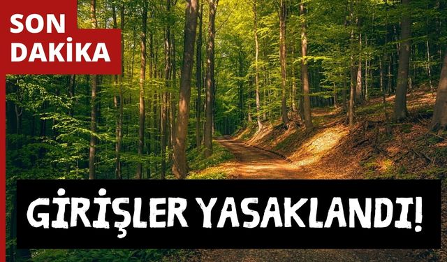 İkiz Göller orman alanına giriş yasaklandı