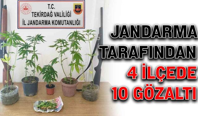 Jandarma tarafından 4 ilçede 10 gözaltı