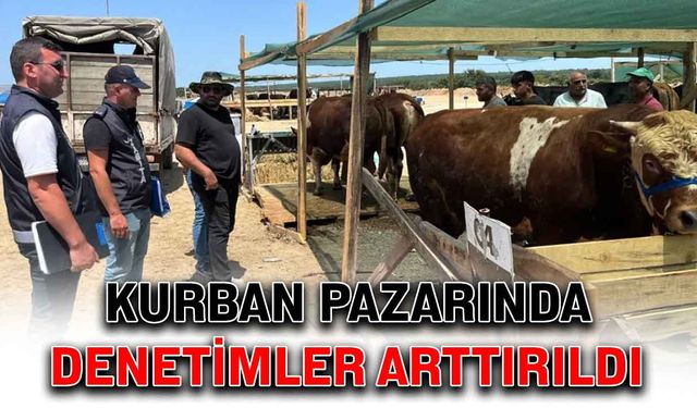 Kurban pazarında denetimler arttırıldı