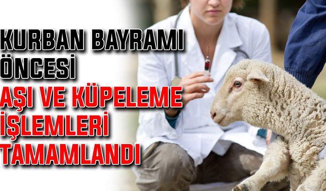 Kurban Bayramı öncesi aşı ve küpeleme işlemleri tamamlandı