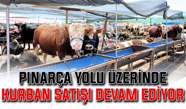 Pınarça yolu üzerinde kurban satışı devam ediyor