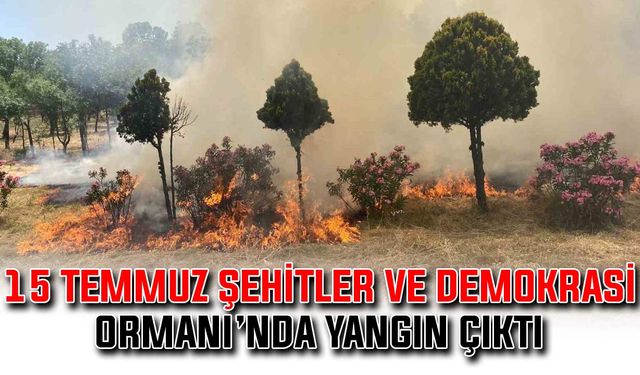 15 Temmuz Şehitler ve Demokrasi Ormanı’nda yangın çıktı