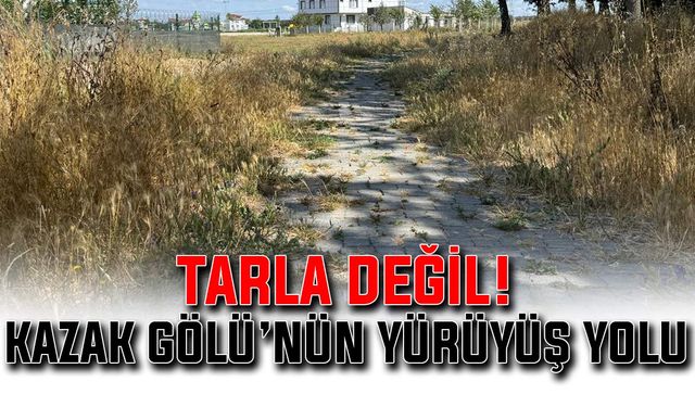 Tarla değil! Kazak Gölü’nün yürüyüş yolu