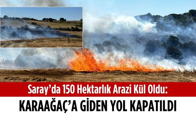 Saray’da 150 hektarlık arazi kül oldu