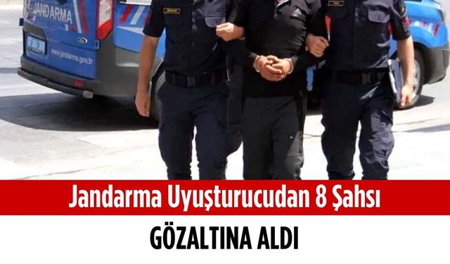 Jandarma uyuşturucudan 8 şahsı gözaltına aldı