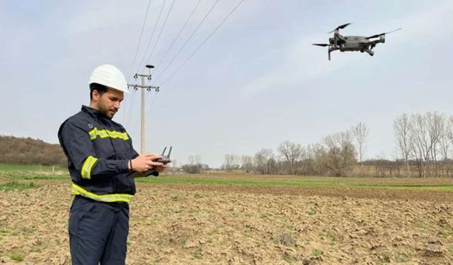 Dron yardımıyla leylek yuvalarının bakımı yapılıyor