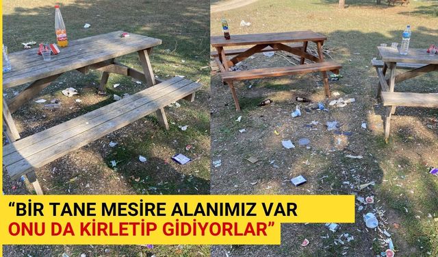 “Bir tane mesire alanımız var, onu da kirletip gidiyorlar”