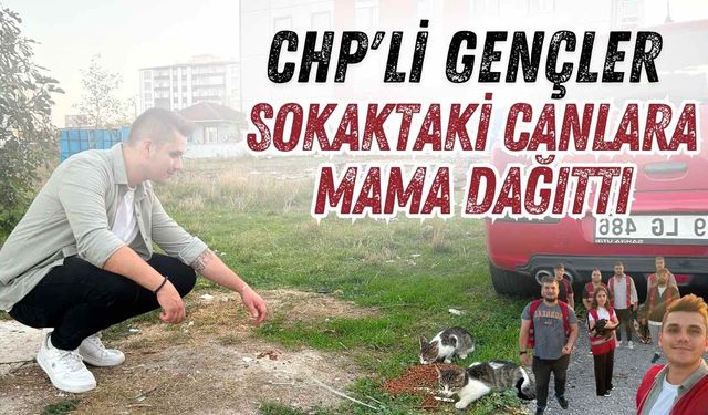 CHP'li gençler sokaktaki canlara mama dağıttı