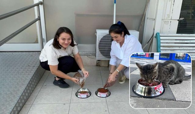 TREPAŞ, sokak hayvanları için mama ve su kapları yerleştirdi