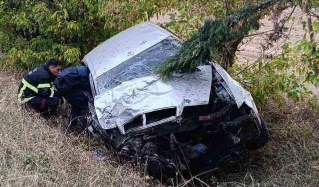 Şarampole uçan araçta bulunan 2 kişi yaralandı