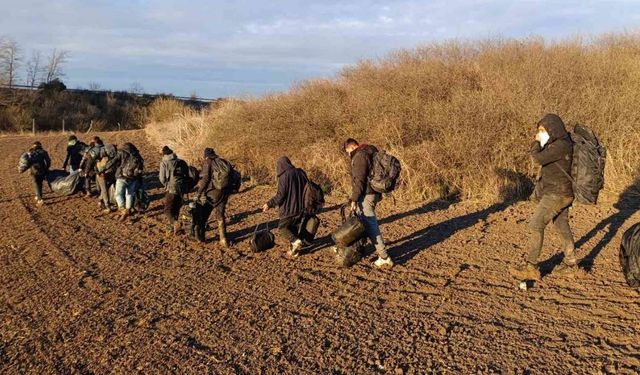 Kaçak göçmen uygulamasında 12 göçmen yakalandı