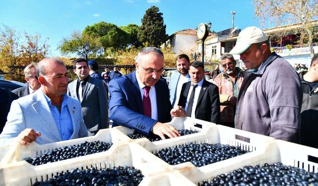 Vali Soytürk, zeytin üreticileri ve çiftçilerle bir araya geldi