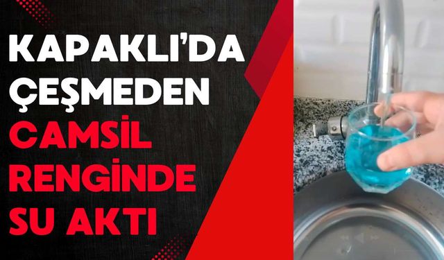 Kapaklı’da çeşmeden camsil renginde su aktı