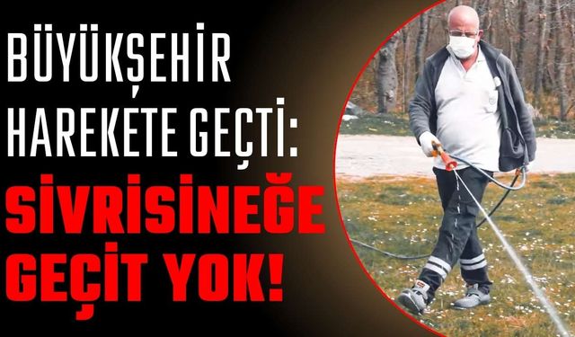 Büyükşehir harekete geçti: Sivrisineğe geçit yok!