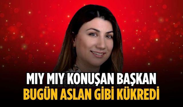 “Mıy mıy konuşan başkan bugün aslan gibi kükredi”