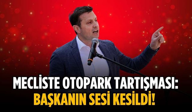 Mecliste otopark tartışması: Başkanın sesi kesildi!