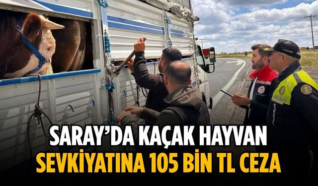 Saray’da kaçak hayvan sevkiyatına 105 bin TL ceza