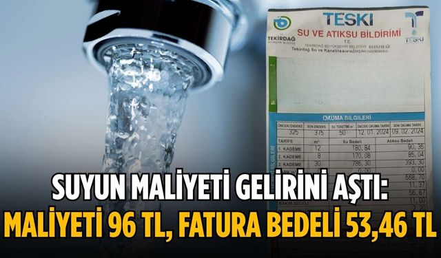 Suyun maliyeti gelirini aştı: Maliyeti 96 TL, fatura bedeli 53,46 TL
