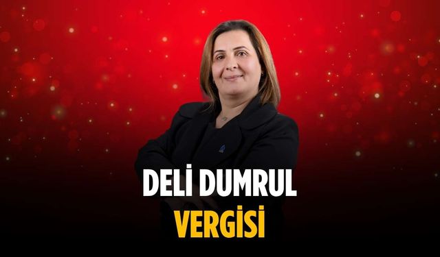 “Deli Dumrul vergisi”