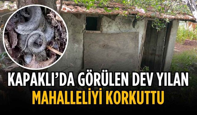 Kapaklı’da terk edilmiş gecekondu bahçesinde dev yılan paniği!
