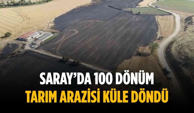 Saray’da 100 dönüm tarım arazisi küle döndü