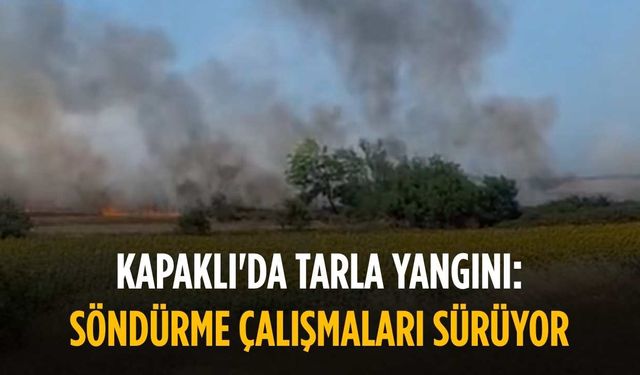 Kapaklı'da tarla yangını: Söndürme çalışmaları sürüyor