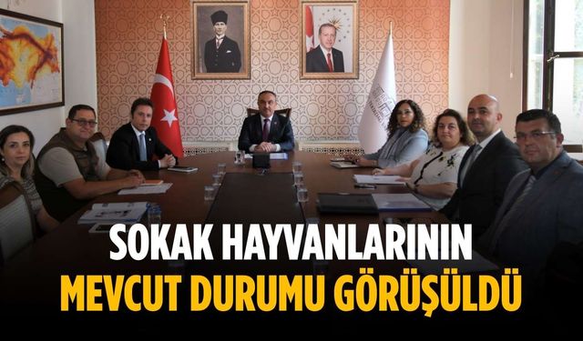 Sokak hayvanlarının mevcut durumu görüşüldü