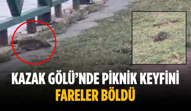 Kazak Gölü’nde piknik keyfini fareler böldü