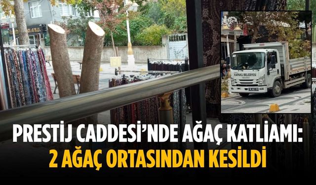 Prestij Caddesi’nde ağaç katliamı: 2 Ağaç ortasından kesildi