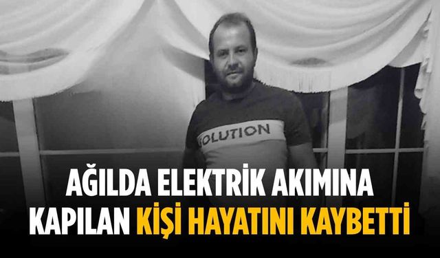 Ağılda elektrik akımına kapılan kişi hayatını kaybetti