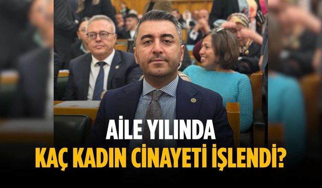 “Aile yılında kaç kadın cinayeti işlendi?”