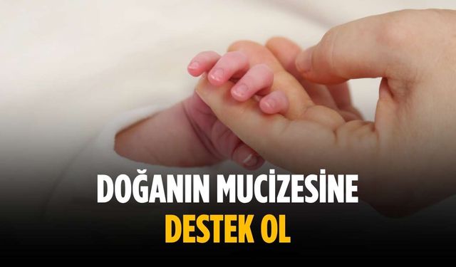 Doğanın mucizesine destek ol