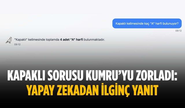 Kapaklı sorusu Kumru’yu zorladı: Yapay zekadan ilginç yanıt