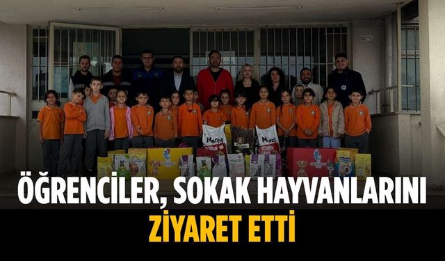 Öğrenciler, sokak hayvanlarını ziyaret etti
