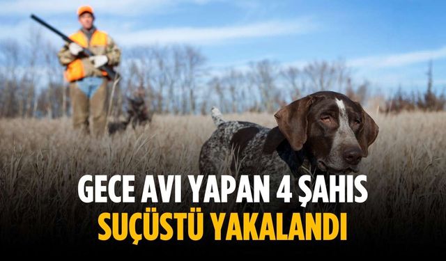 Gece avı yapan 4 şahıs suçüstü yakalandı