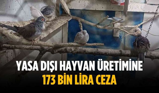Yasa dışı hayvan üretimine 173 bin lira ceza