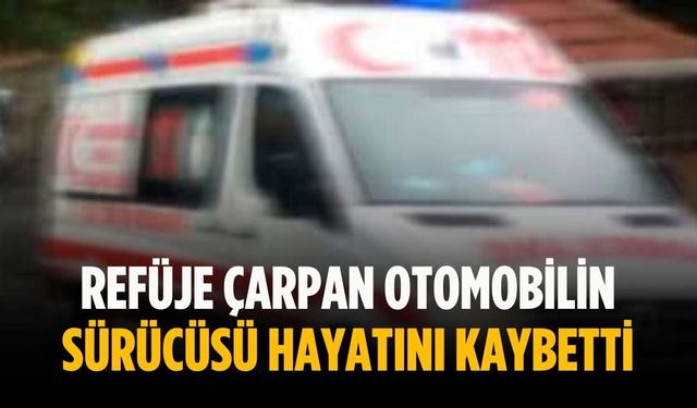 Refüje çarpan otomobilin sürücüsü hayatını kaybetti